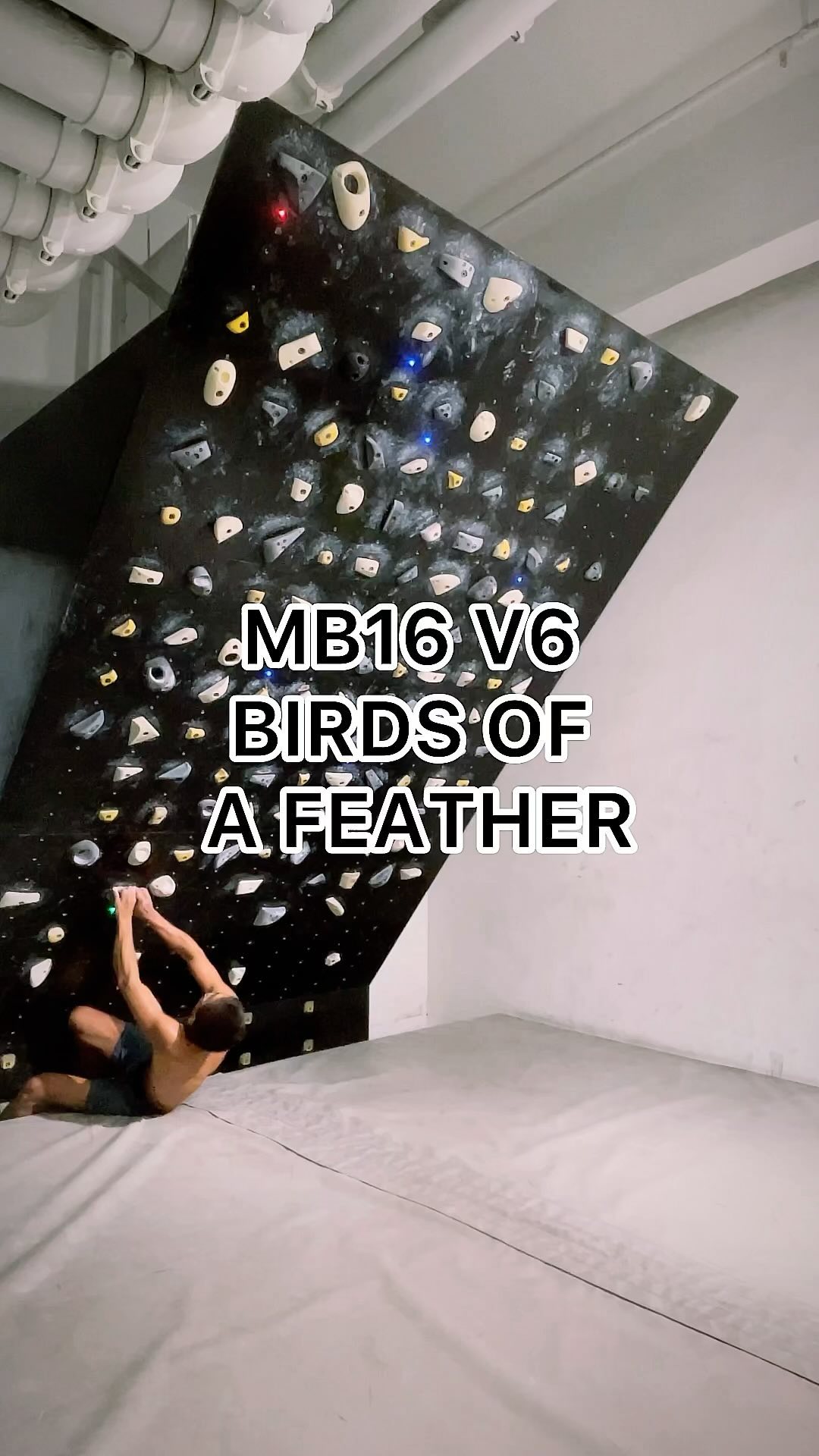 Birds of a Feather, 7A/V6 benchmark