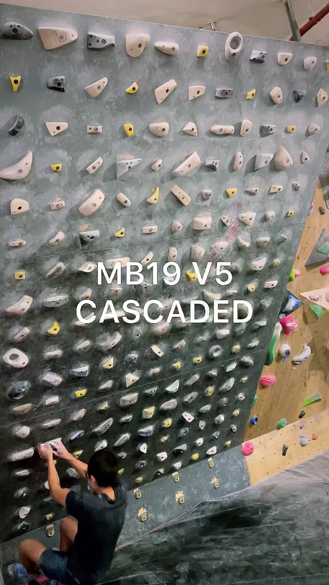 Untitled, V5