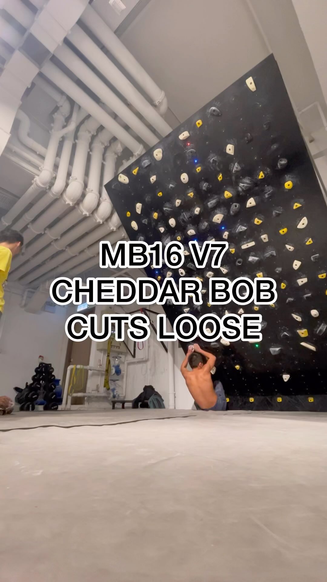 Untitled, V7