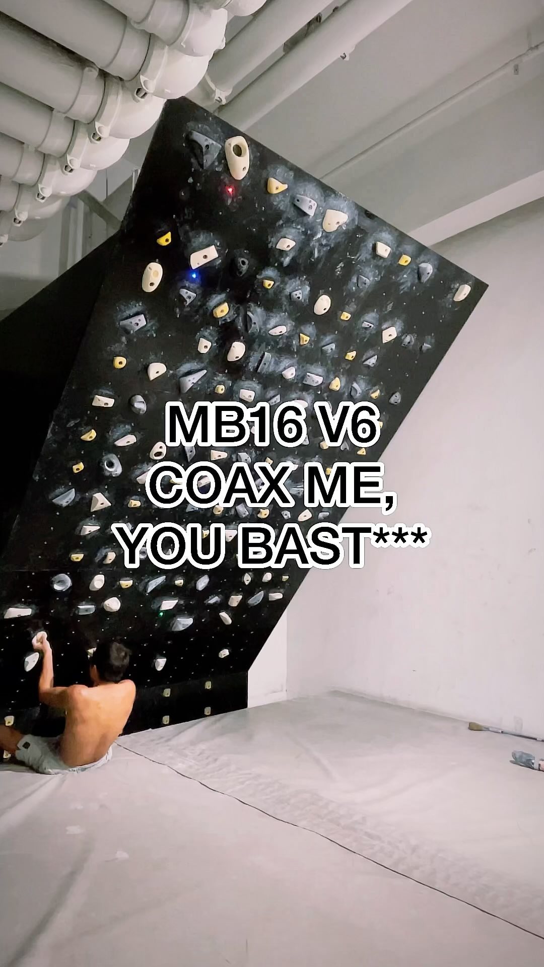 COAX ME, YOU BAST***, V6
