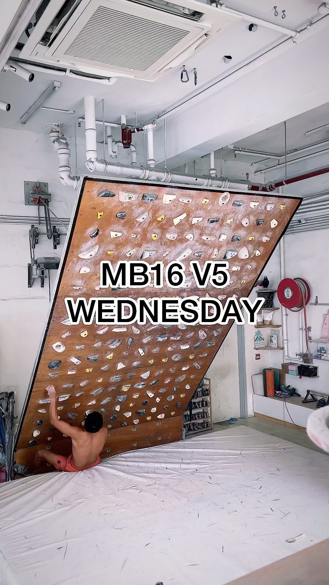 WEDNESDAY, V5