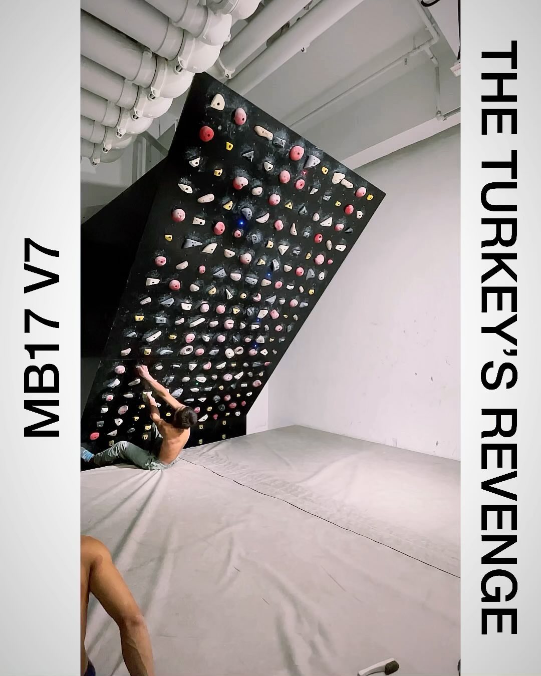 Untitled, V7