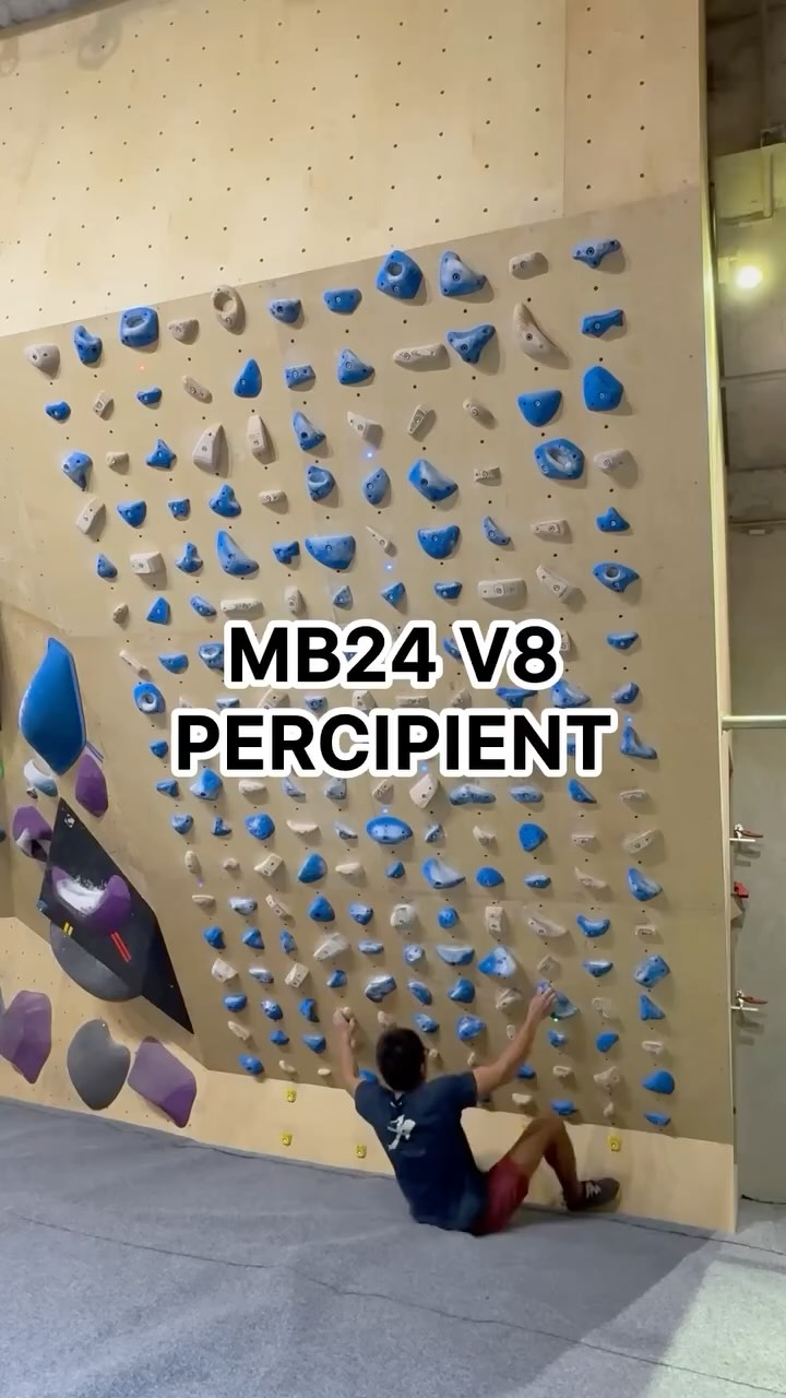 The Percipient, 7B/V8