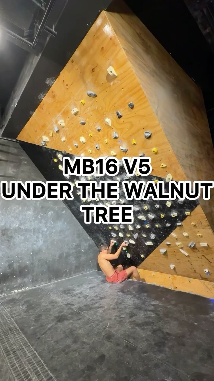 Under the walnut tree, 6C/V5