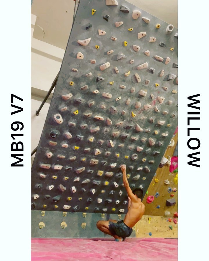 Untitled, V7