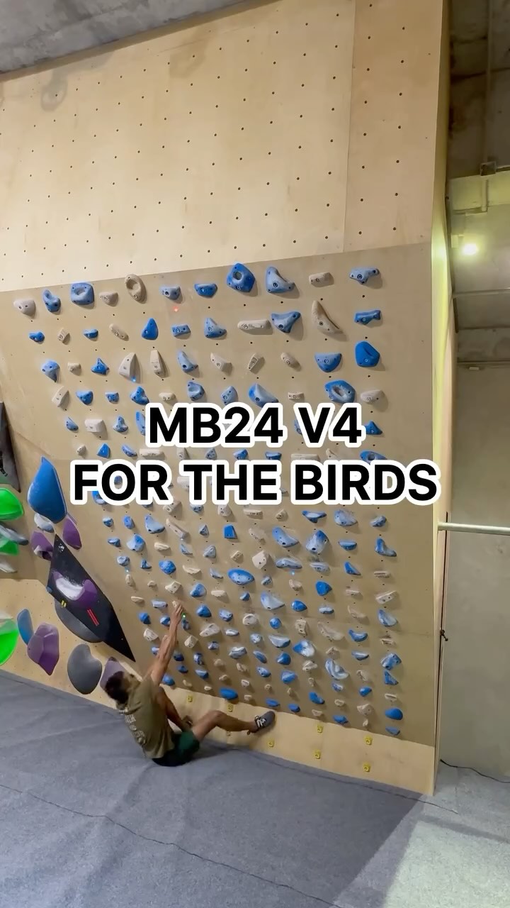 for the birds, 6B+/V4