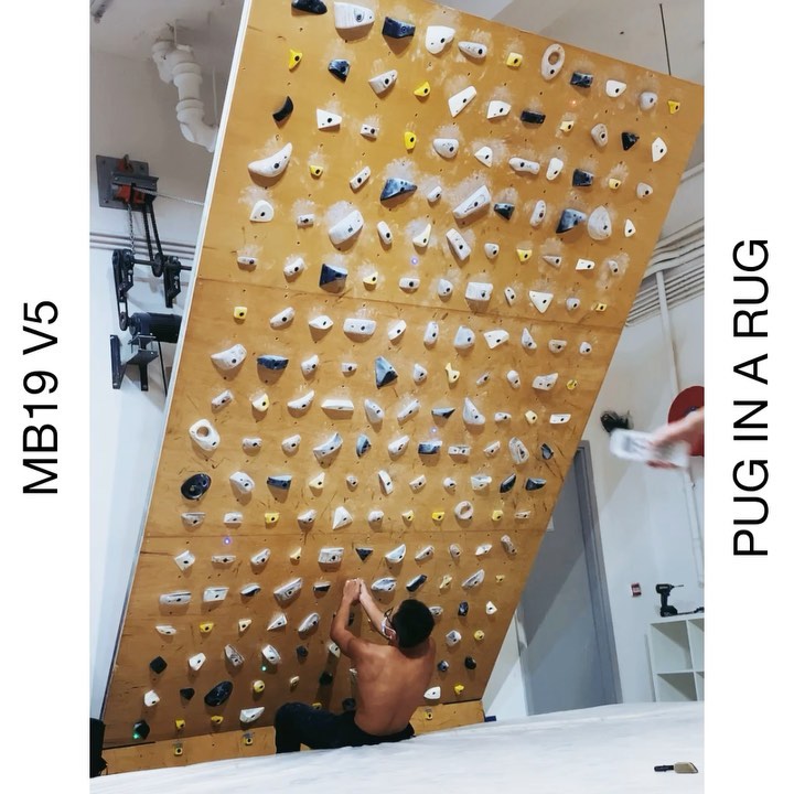 Untitled, V5