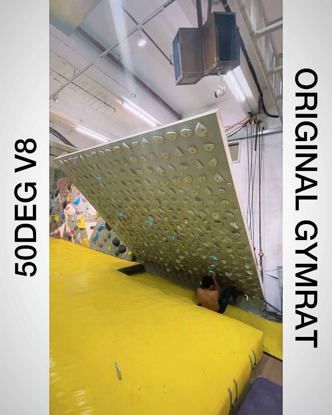 “Original gymrat