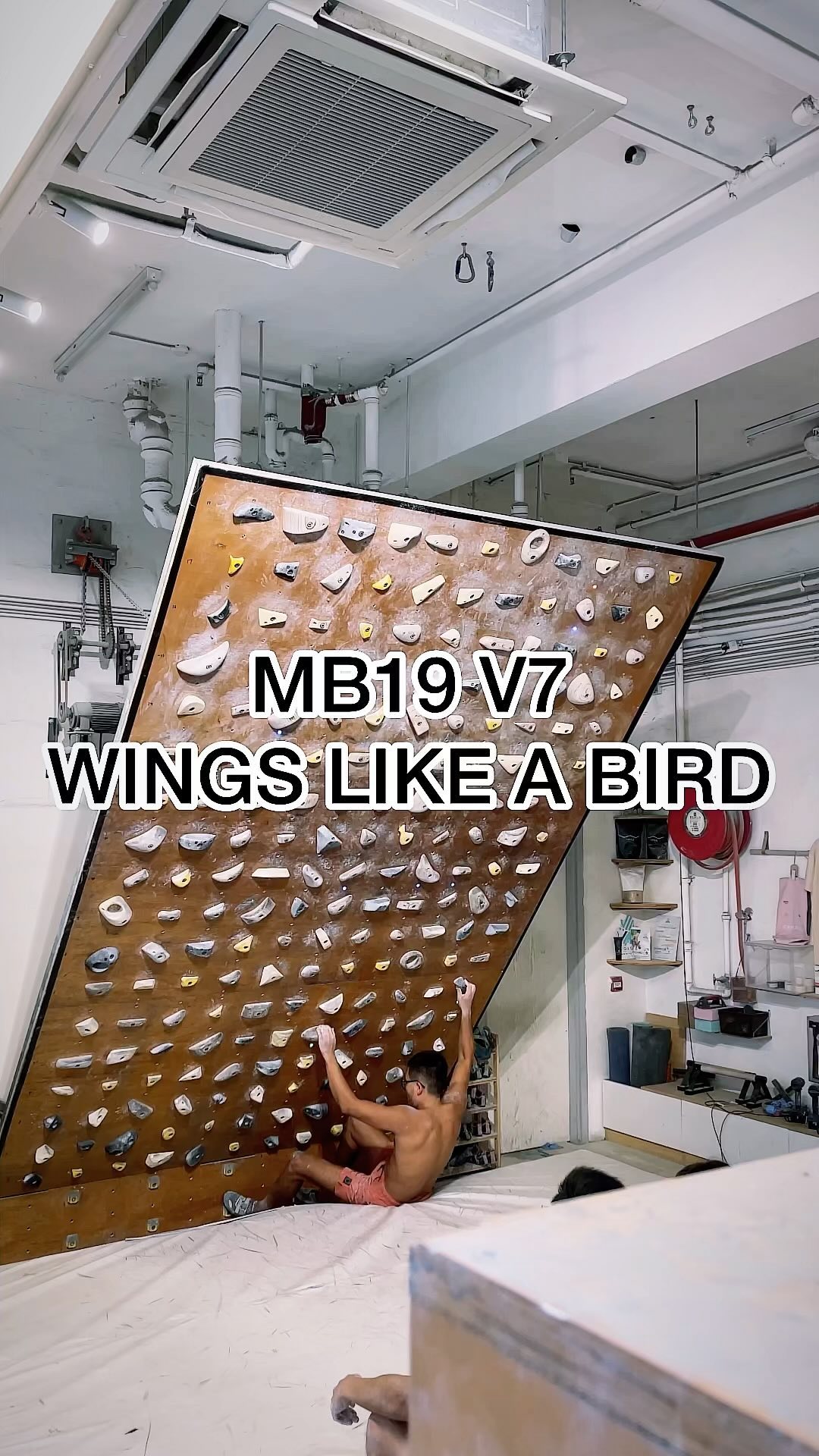 WINGS LIKE A BIRD, V7