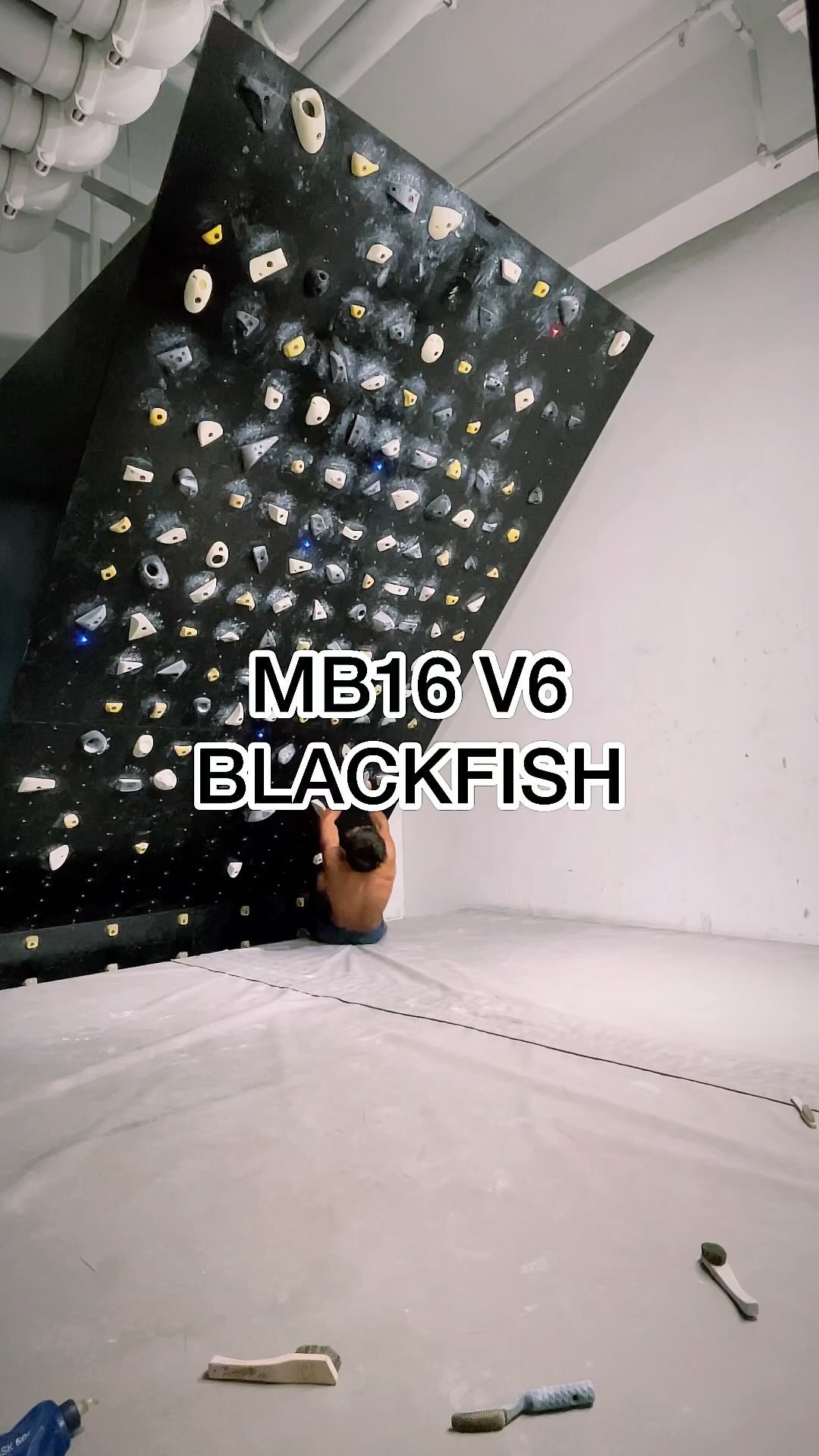 BLACKFISH, V6