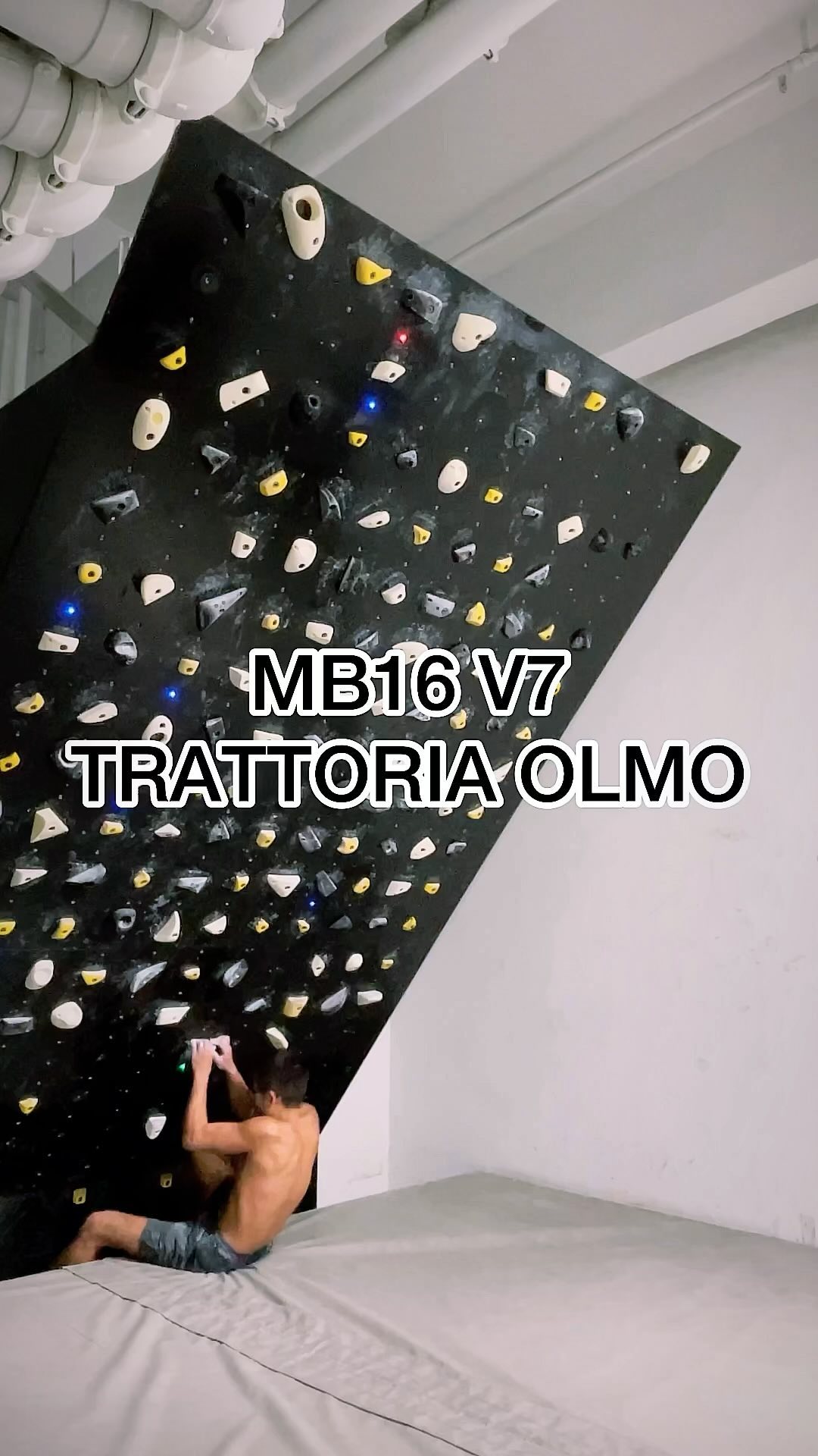 Untitled, V7