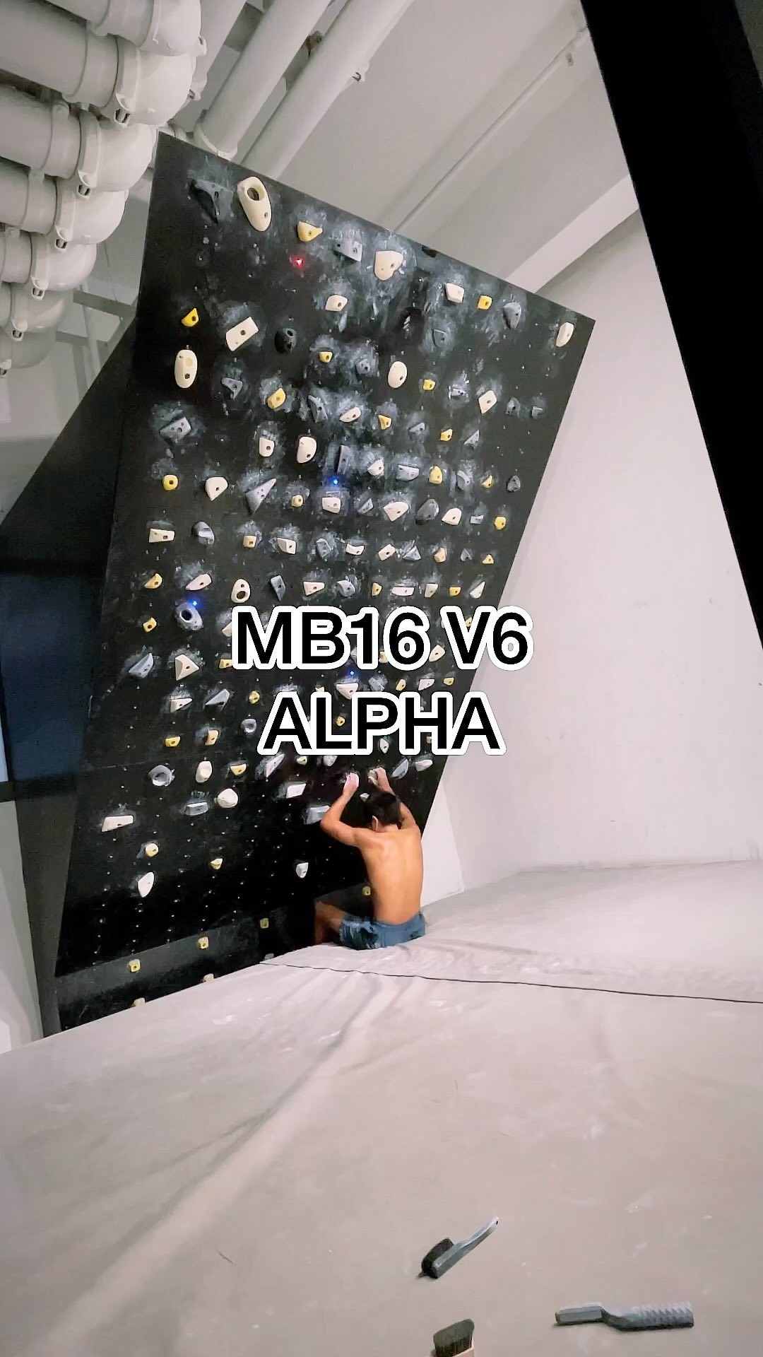 ALPHA, V6