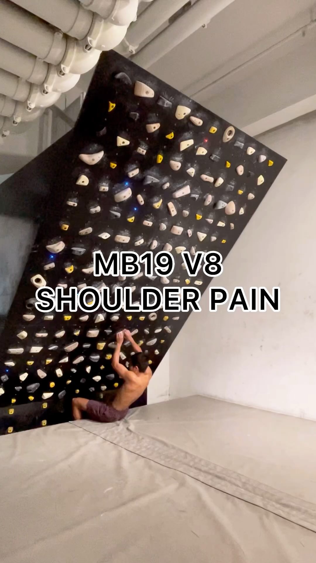 SHOULDER PAIN, 7B/V8 benchmark