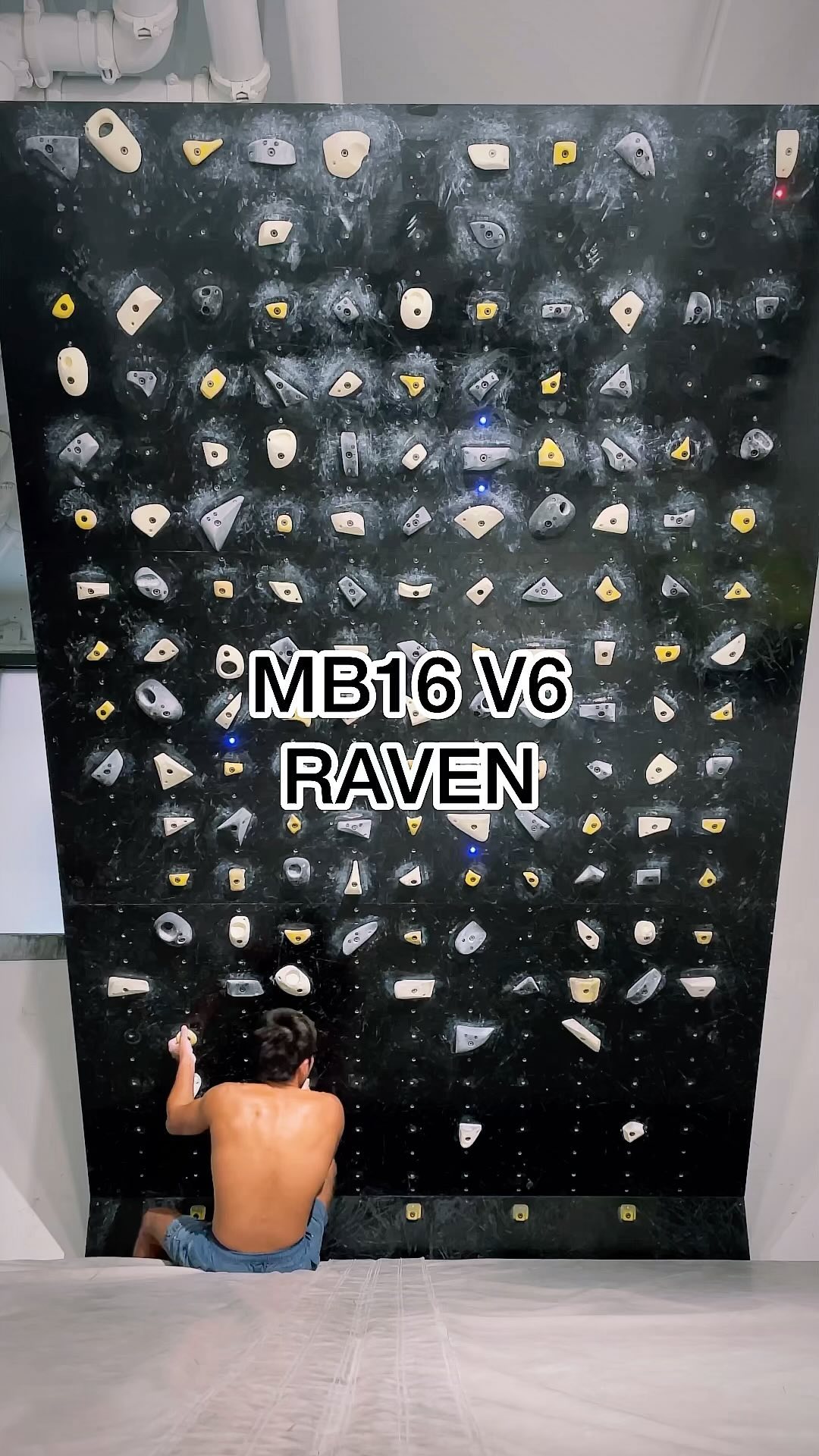 RAVEN, V6