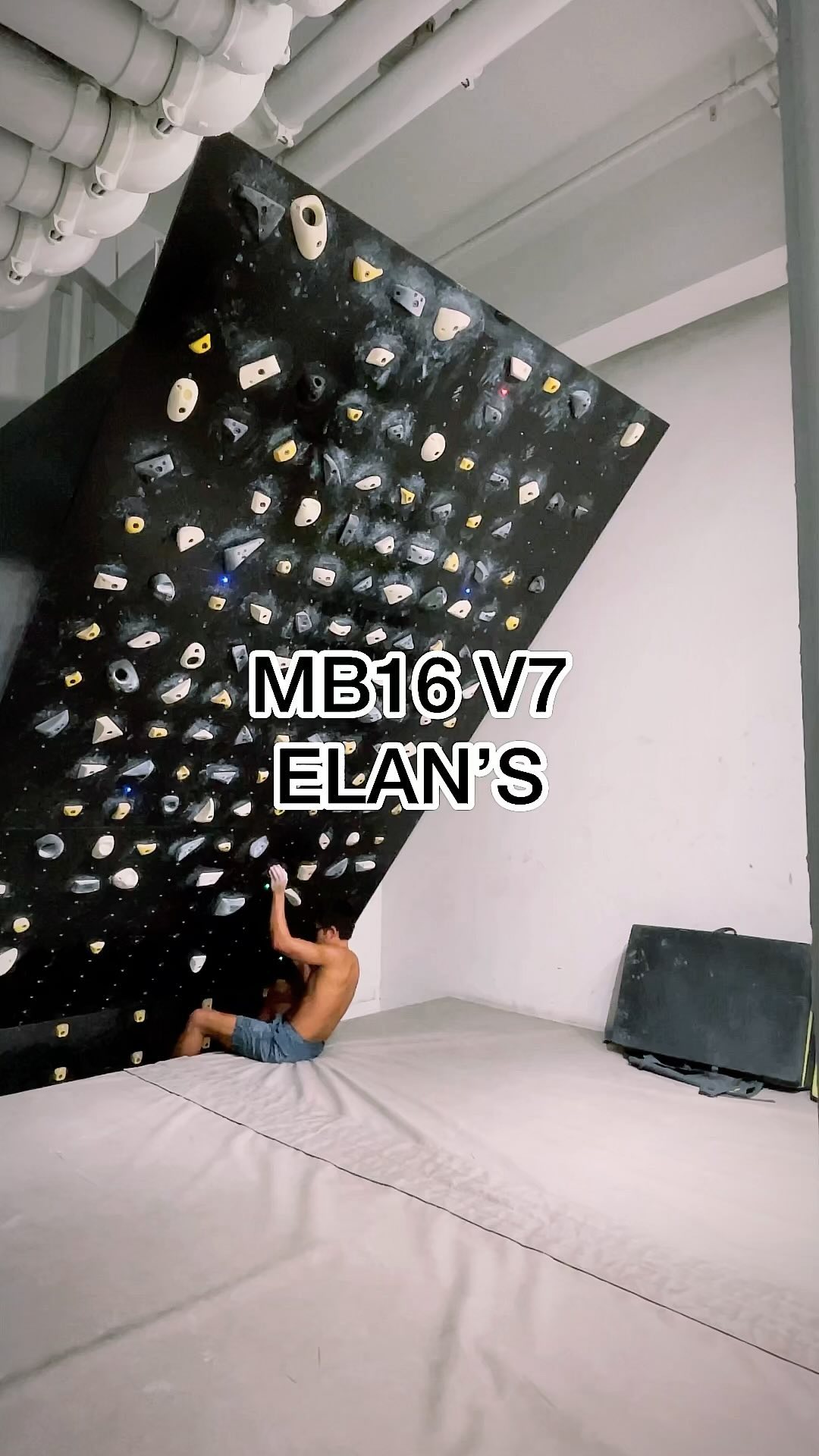 ELAN’S, V7