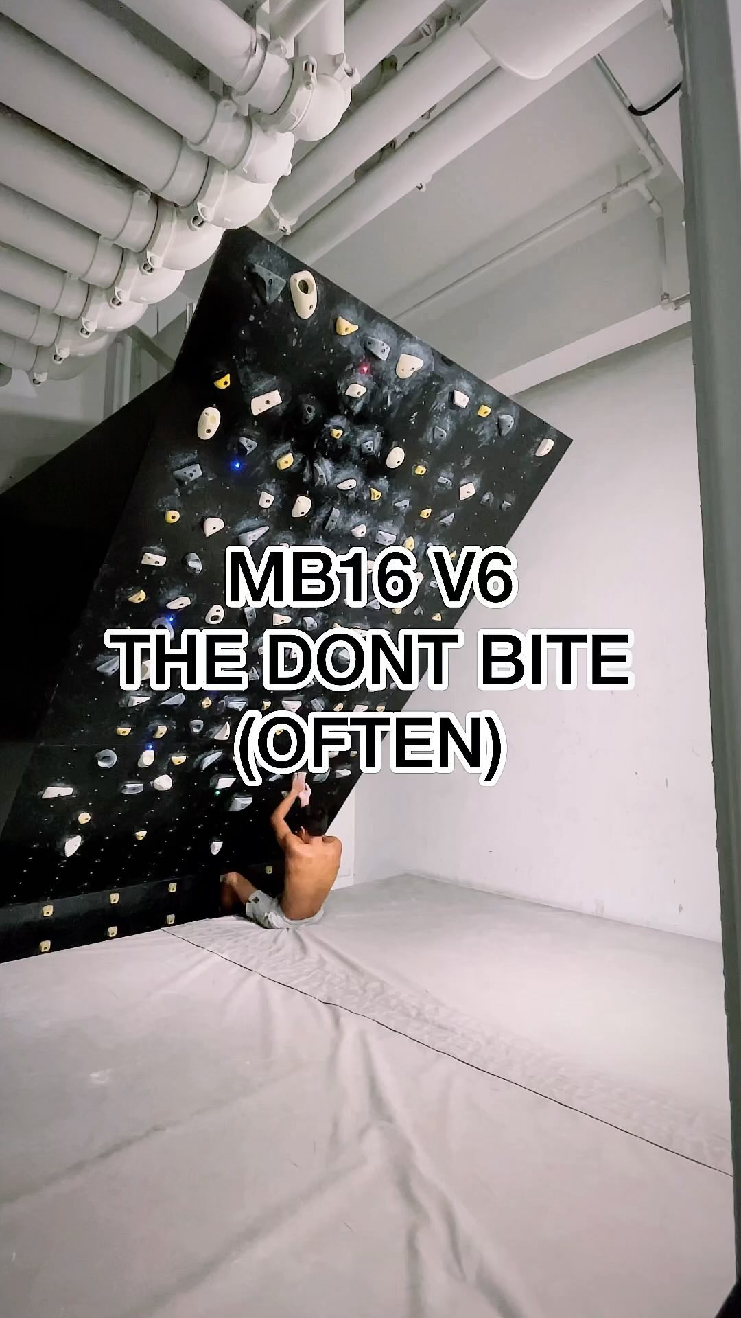 THE DONT BITE (OFTEN), V6