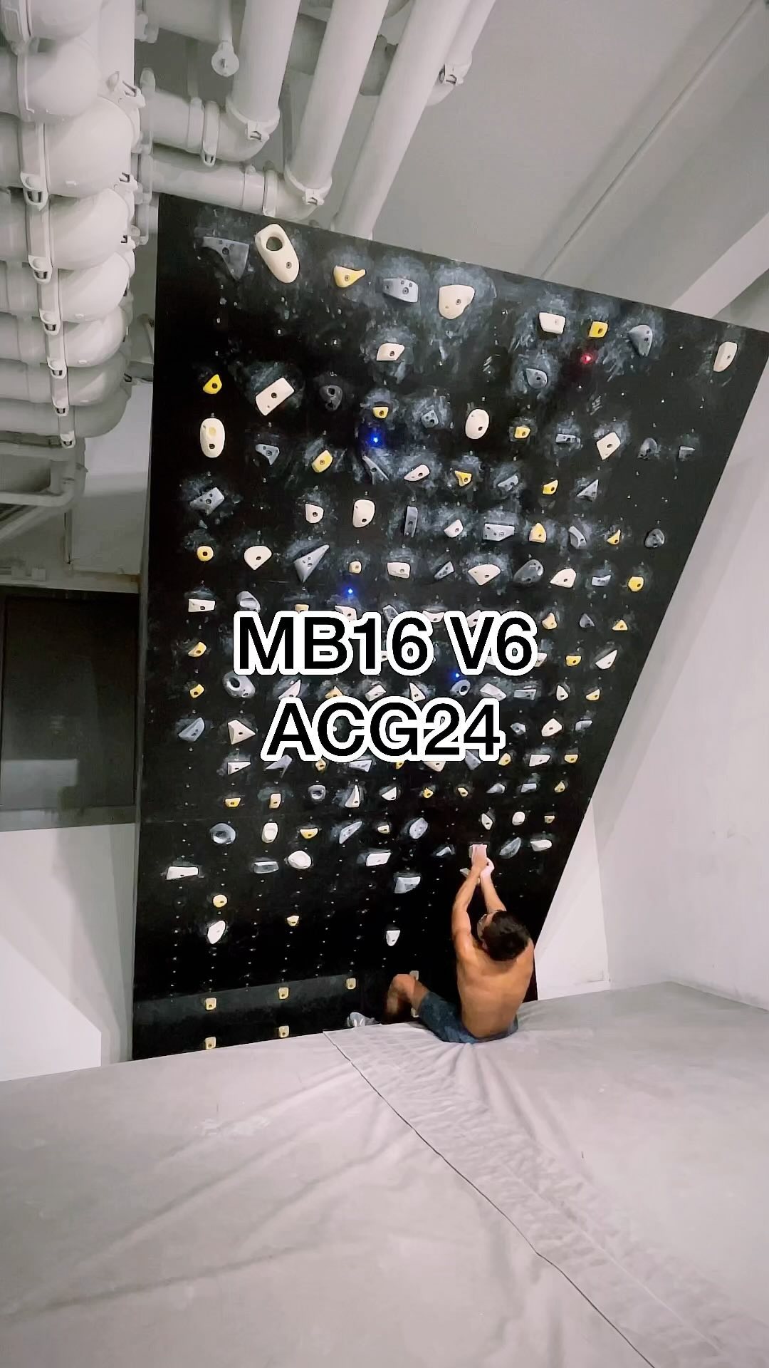 ACG24, V6