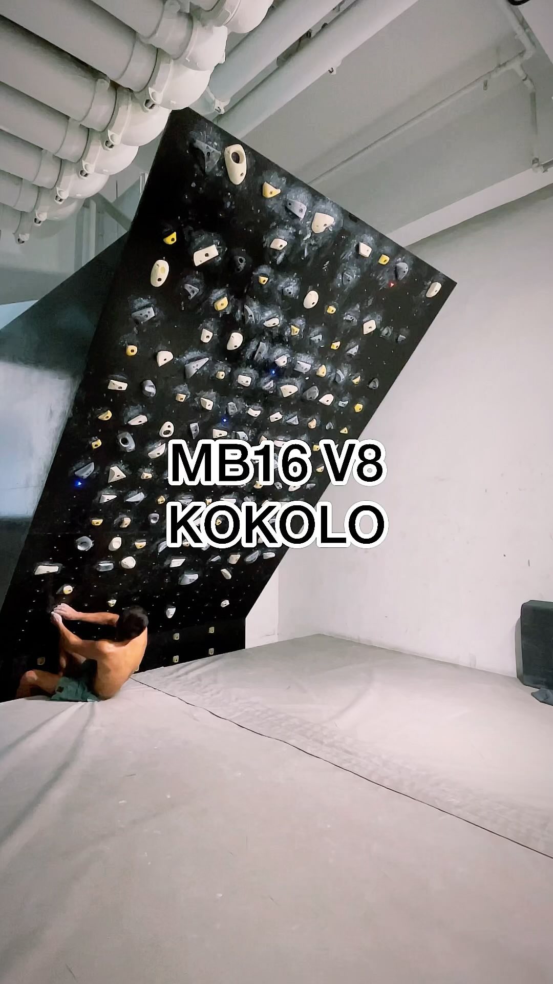 KOKOLO, V8