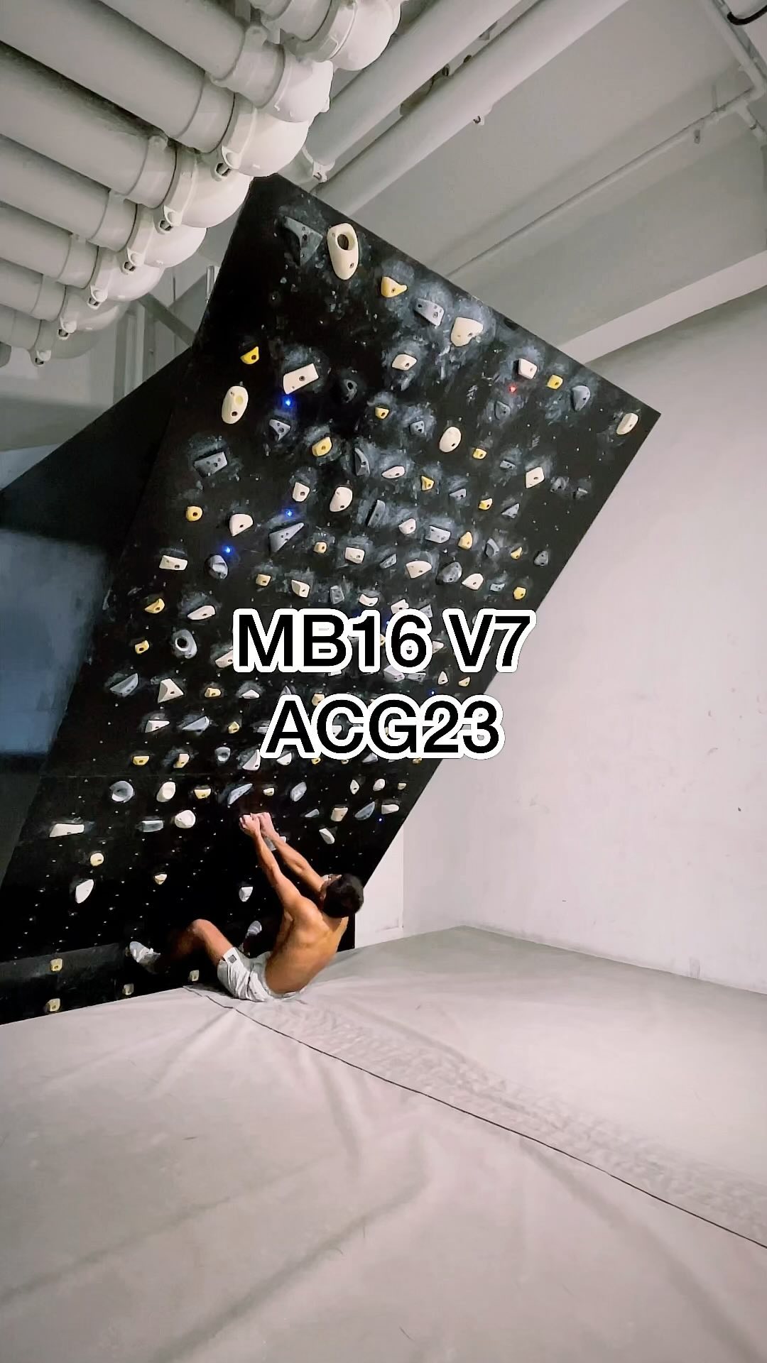 ACG23, V7