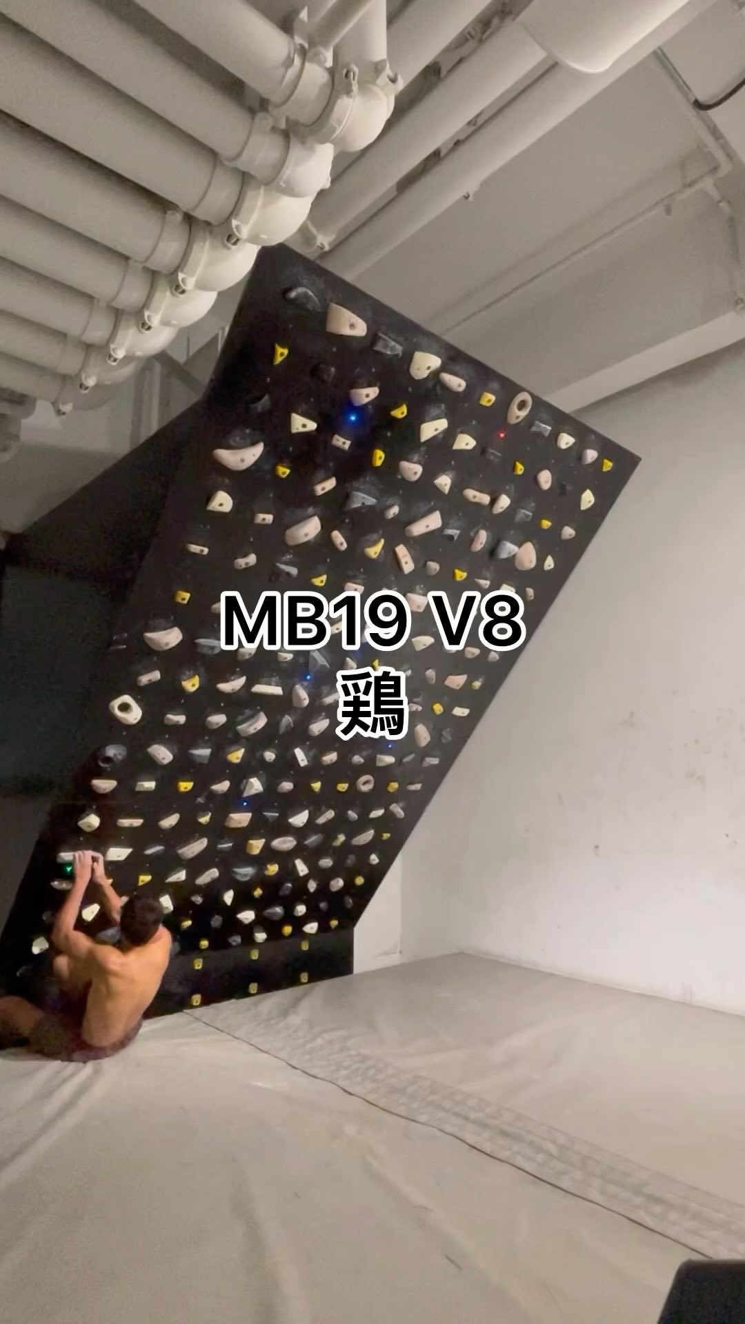 鶏, 7B/V8 benchmark