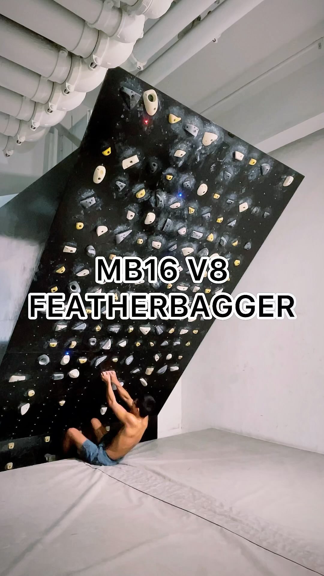 FEATHERBAGGER, V8