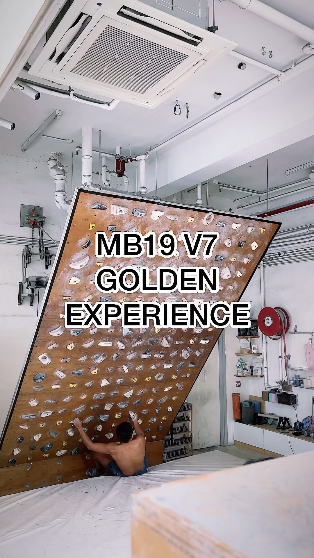 GOLDEN EXPERIENCE, V7