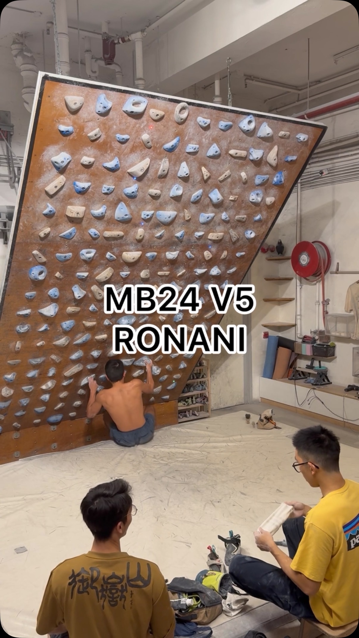 ronani, 6C/V5