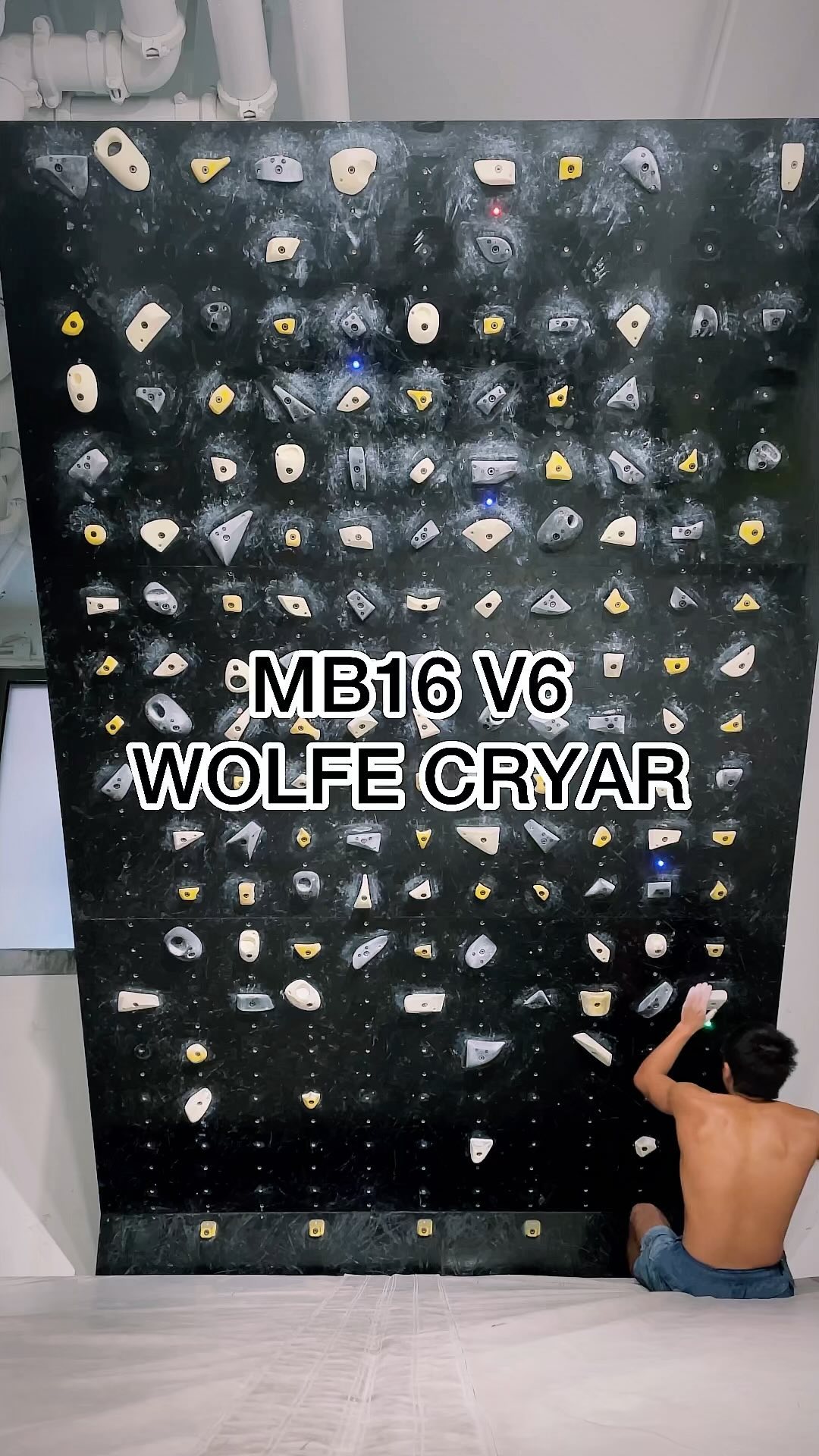 WOLFE CRYAR, V6