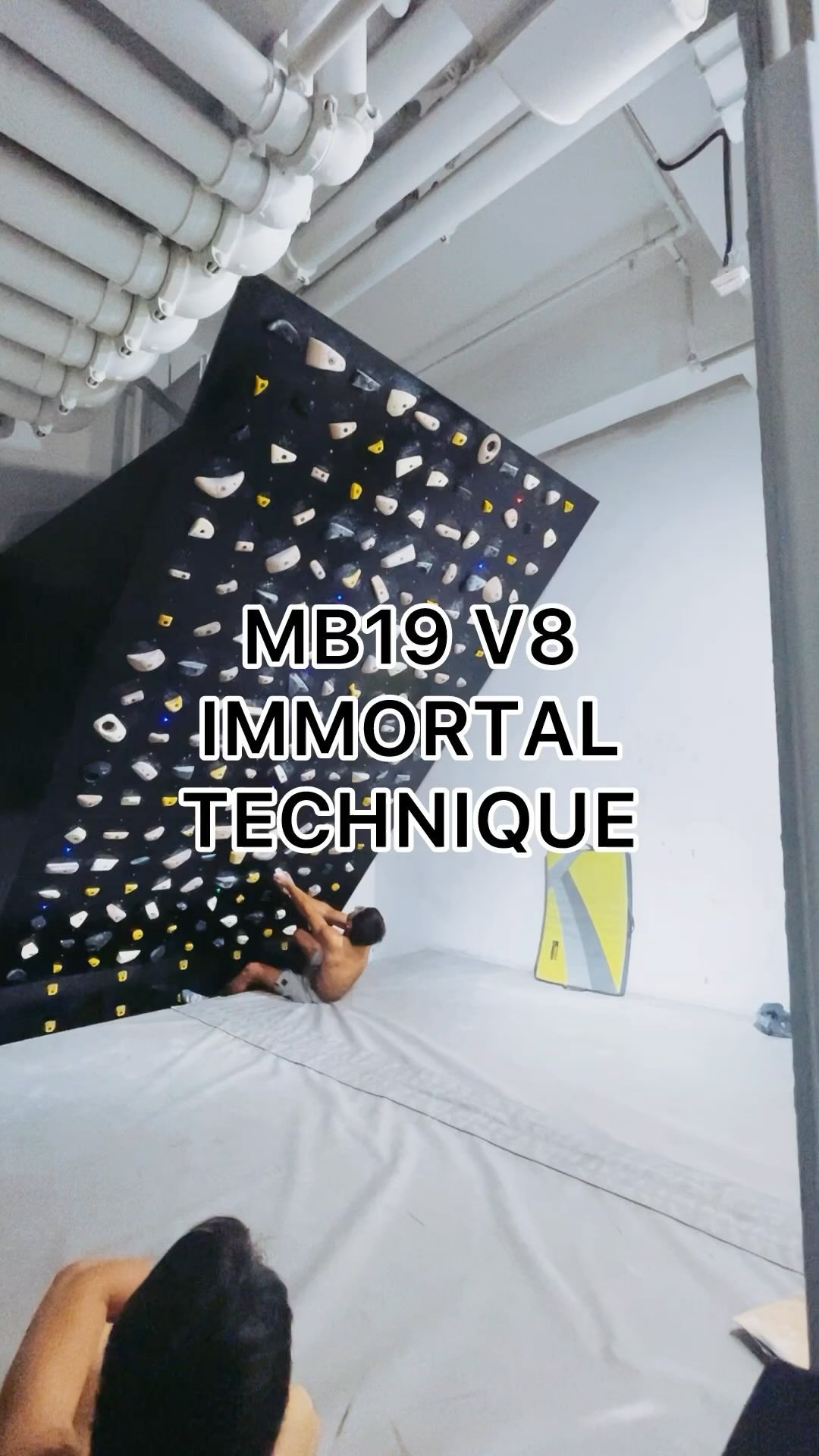 IMMORTAL TECHNIQUE, 7B/V8 benchmark