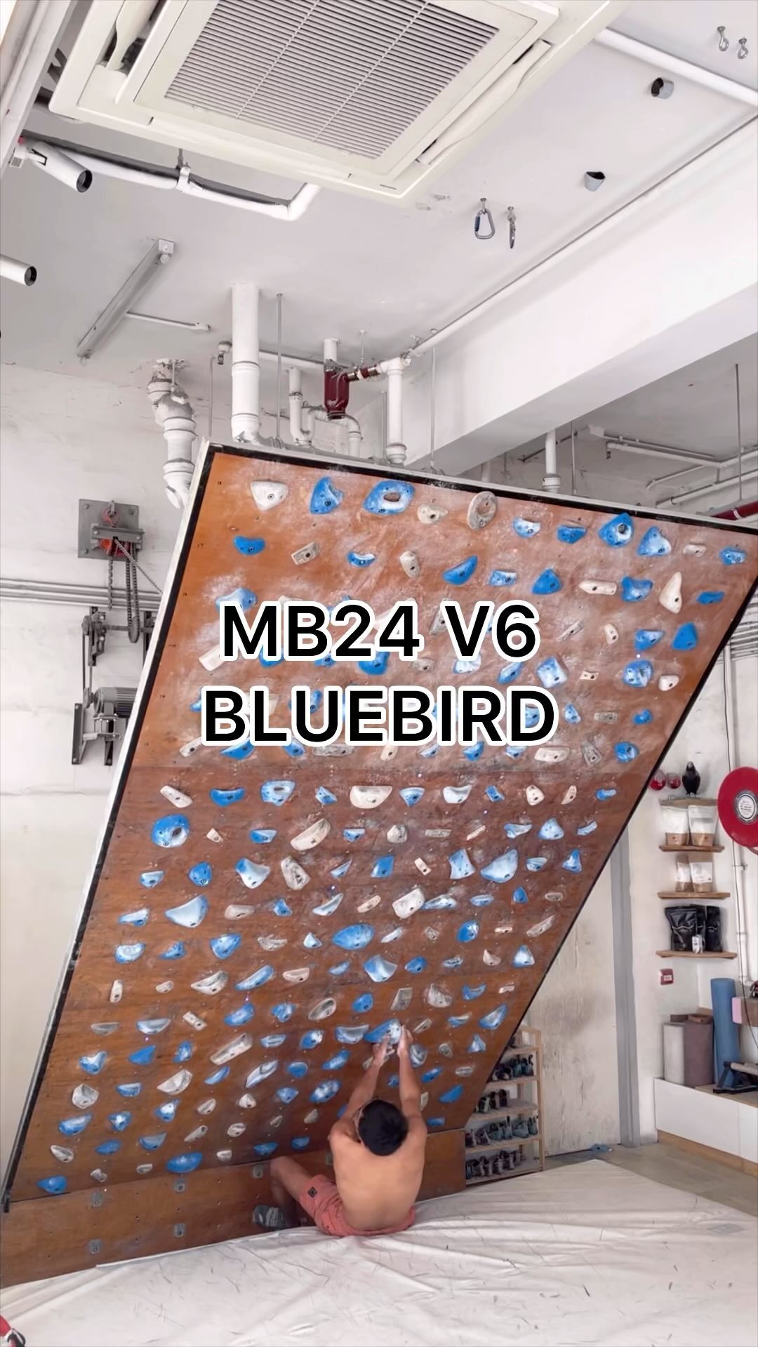 bluebird, 7A/V6 benchmark