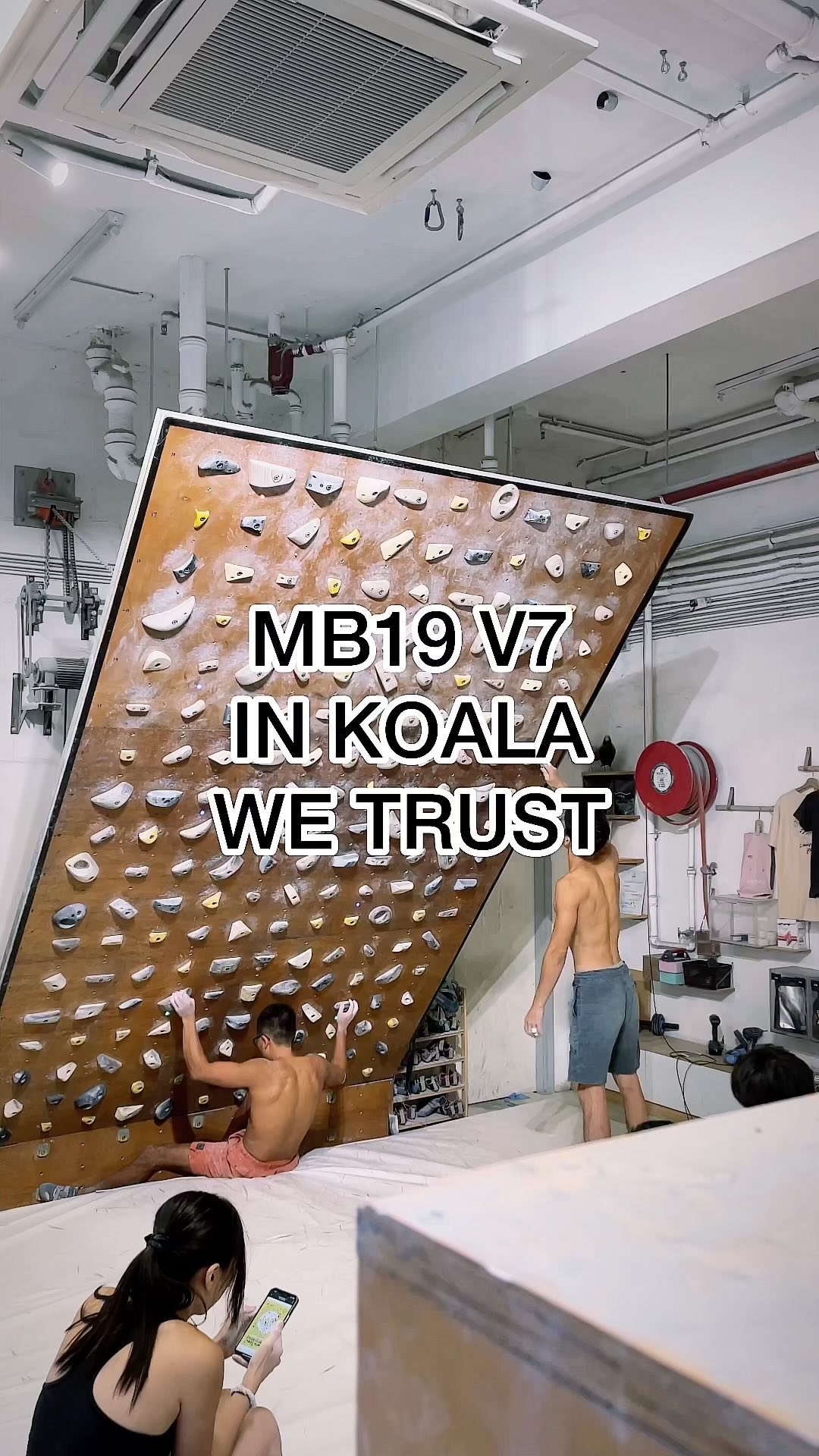 IN KOALA WE TRUST, V7