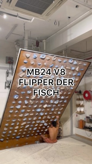 Flipper der fisch, 7B/V8 benchmark