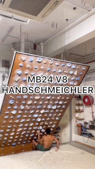 handschmeichler, 7B+/V8 benchmark