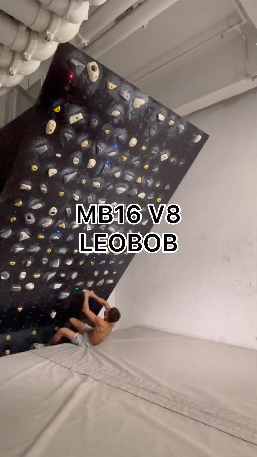 Leobob, 7B+/V8 benchmark