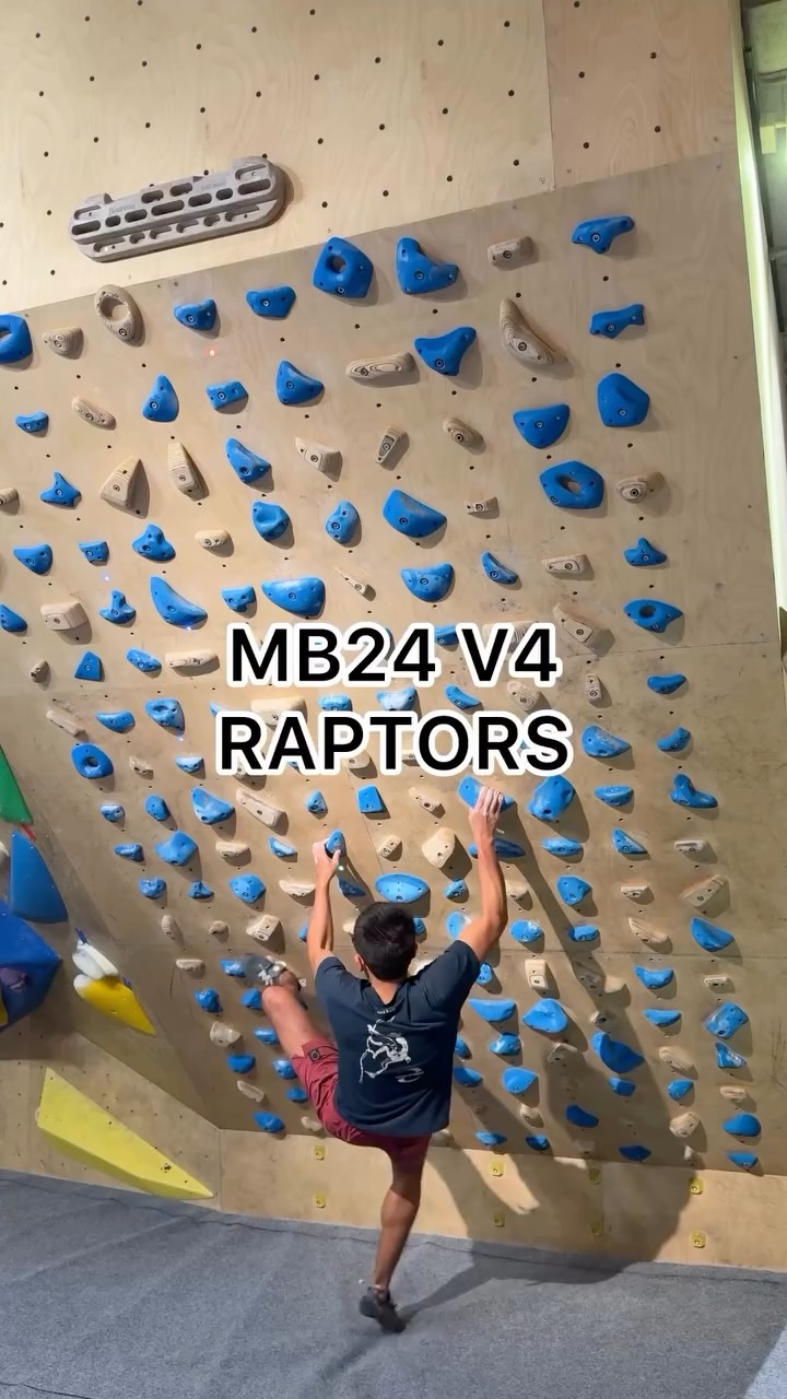 Raptors, 6C/V5