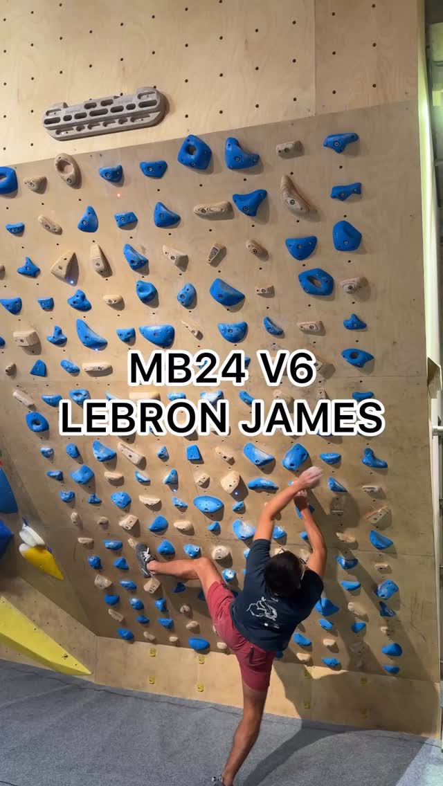 LeBron James, 7A/V6
