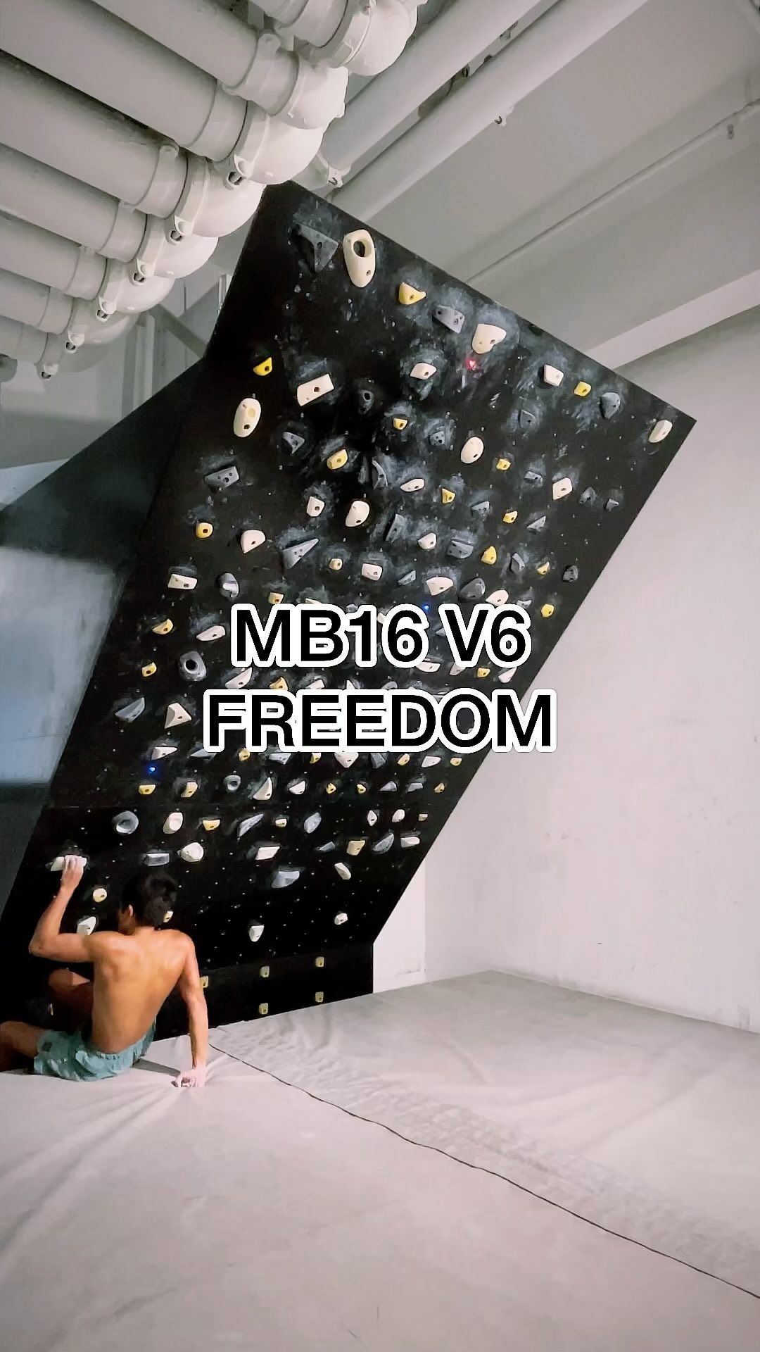 FREEDOM, V6