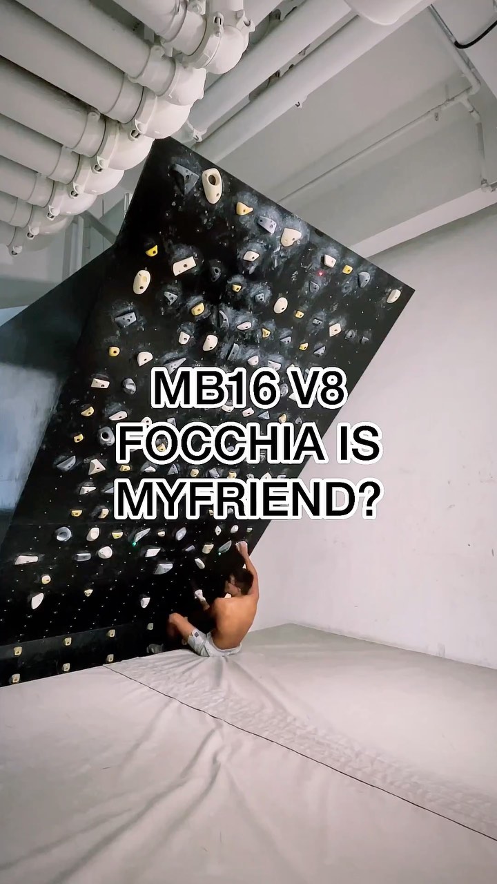 FOCCHIA IS MYFRIEND?, V8