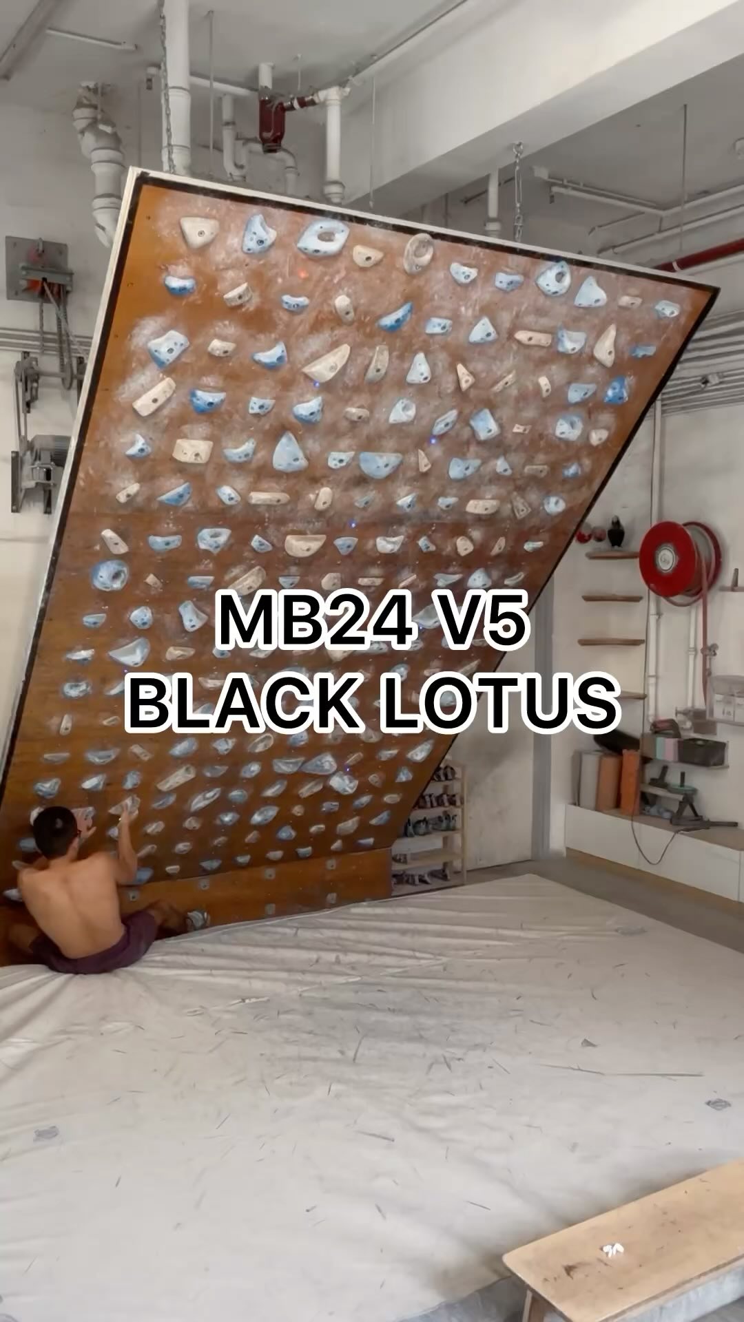 black lotus, 6C+/V5
