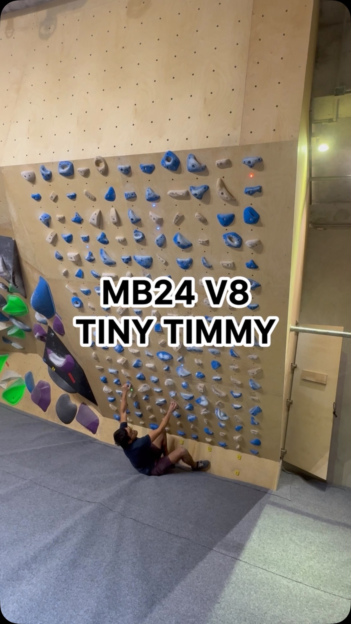 Tiny Timmy, 7B+/V8