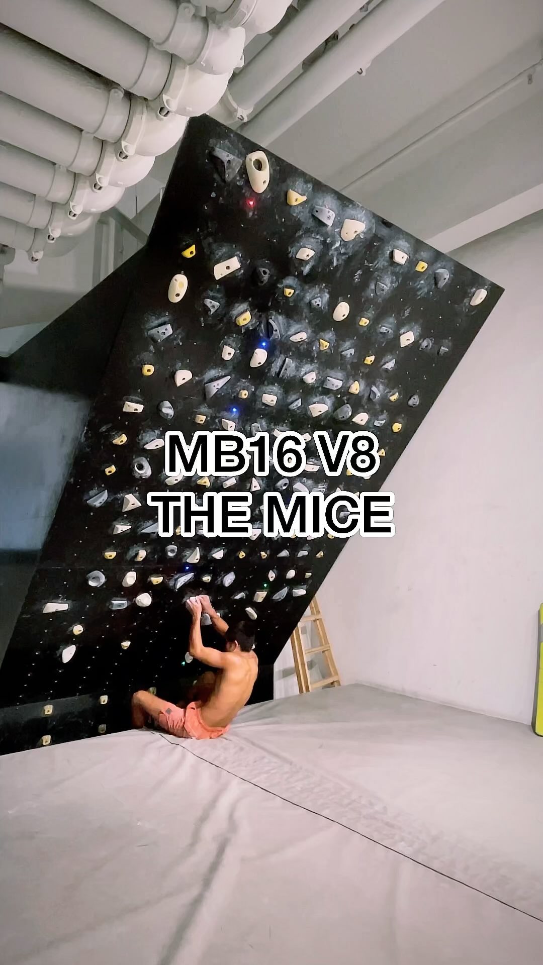 THE MICE, V8