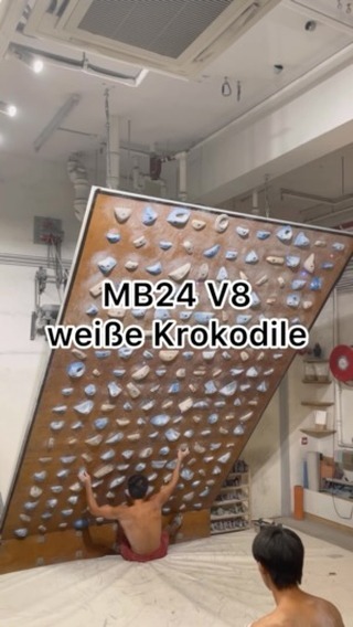 weiße Krokodile, 7B/V8 benchmark